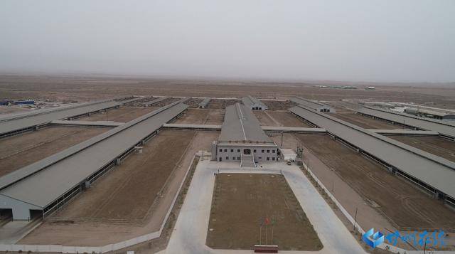 甘肃德联牧业万头奶牛养殖基地产业化建设项目(二期)加紧施工
